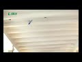 RCHelicopterShop.Com - Esky Lama V3 Flying in Office RCHelicopterShop.Com - Esky Lama V3 Flying in Office