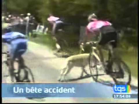 Ciclismo Incidenti