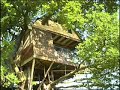 Treehousesmall Treehousesmall