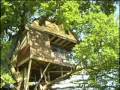 videos de Treehousesmall