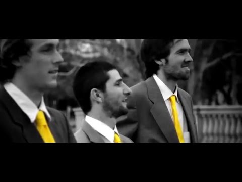 Ver video Ver video