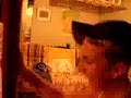 AJ vs. Drew Slap Fight
