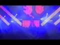 Laidback Luke @ Festival... Voir la Vidéo