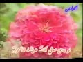 Gasee - Abu Thar Al-Halwaji