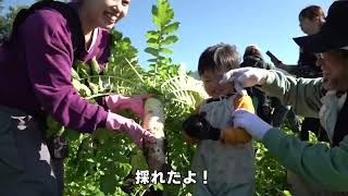 週刊ほくとニュース2024年11月30日～12月6日放送分