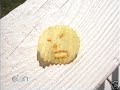 ellen degeneres   mr  smiley face potato
