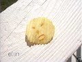 ellen degeneres   mr  smiley face potato