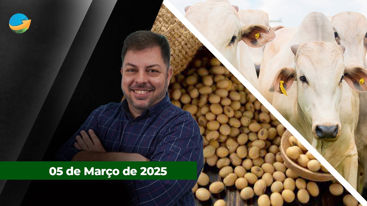 B3 reage mal à suspensão de frigoríficos pela China e boi gordo recua mais de 1%; Soja e milho re...