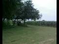 videos de CH701 912ULS VGs no slats