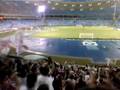 videos de Fluminense x Botafogo 1x1 Engenhão 28-09-2008