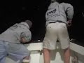 Tuna Cape May NJ Jaftica Sport Fishing Tuna Cape May NJ Jaftica Sport Fishing