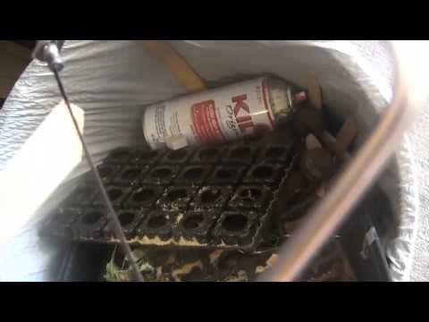 how to fasten quarter round