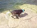 Pace Bend Wake Monster