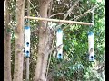 Modified Bird Feeder