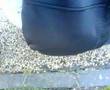 canal jump