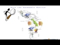 Renewable Monitor