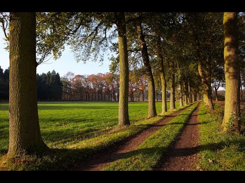 LANDSCHAPSPRIJS 2019