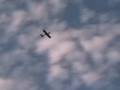 Sonic Low Wing Maiden Flight