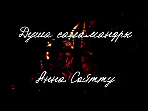 video_preview