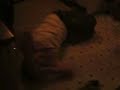 allan and calums homemade jackass allan and calums homemade jackass