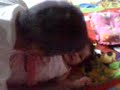 Lia bye Tata