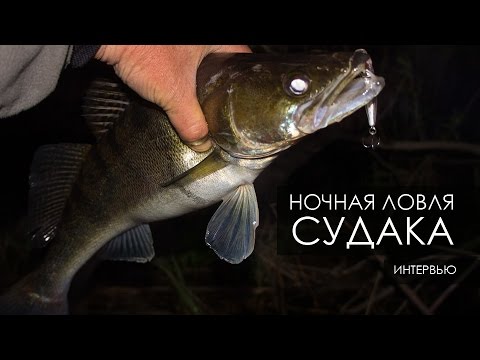 ловля судака на оке ранней весной ловля судака на оке ранней весной