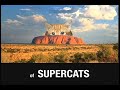 Australia has a supercat problem