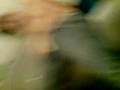 videos de ernesto indignamente.