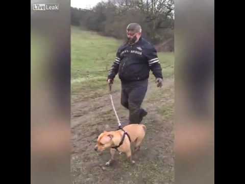 „Nawet się do mnie nie odzywaj”. Powrót ze spaceru z psem