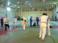 sofiane entraineur