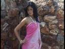 Peach Pure Georgette Saree with Blouse