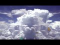 VIDEO ART SONG PONG infected mushroom