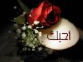 محمد فضل شاكر