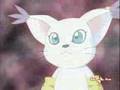 La Superdigievoluzione di Gatomon in Angewomon