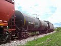 Ferromex 3748,SD45 3196 and 3130 in Presa Corona,Jal.