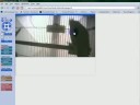 Thumbnail #1