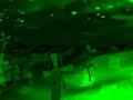 Psyxes 2007 - F.I.R (demoscene)