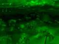Psyxes 2007 - F.I.R (demoscene)