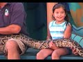 Los Angeles - Universal Studios - Animal Show