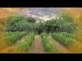 tarija, asi es tarija, los maximos exponentes del folklore chapaco, homenajeados y reconocidos como patrimonio cultural y folklorico de la bella tierra chapaca en la actualidad al 2008,llevan 46 a�os de canto.
