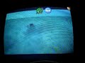 Hylian Loach: Ocarina of Time