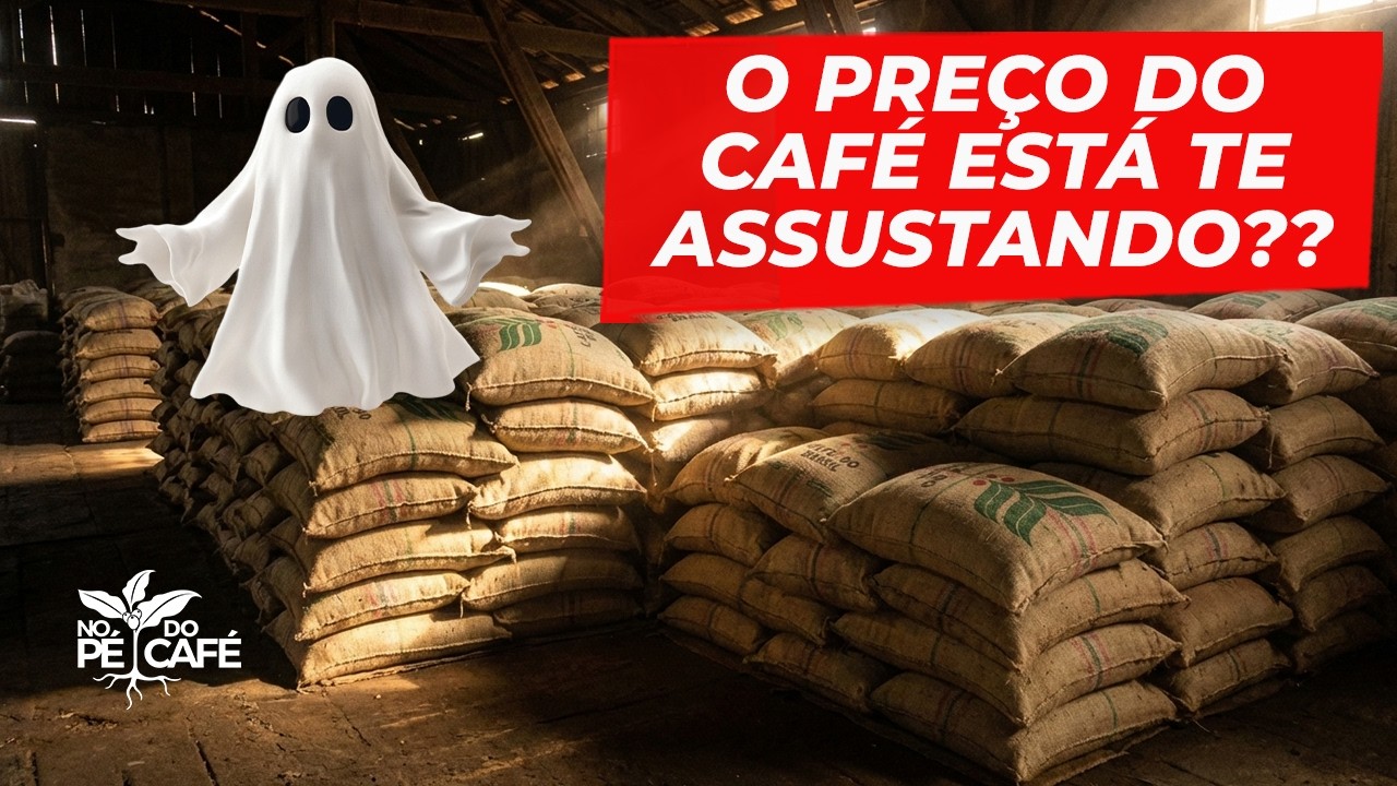 Um jeito FÁCIL de ENTENDER O MERCADO! Pra você, CAFEICULTOR, tomar MELHORES DECISÕES na venda do seu