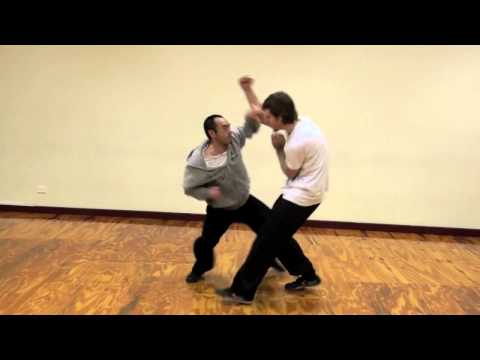 Ziranmen Fighting Techniques See video