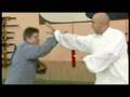 BAGUA ZHANG LA PAUME DES 8 TRIGRAMMES Vol. 2