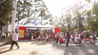 Um Dia de Arte no Circo