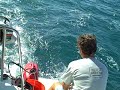 20091117I - fish onboard