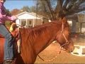 Riding Lesson 1 Riding Lesson 1