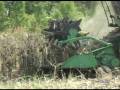 From Field to Feeder