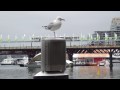 M4H00133.MP4