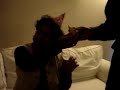 Bhabhi Birthday Bhabhi Birthday